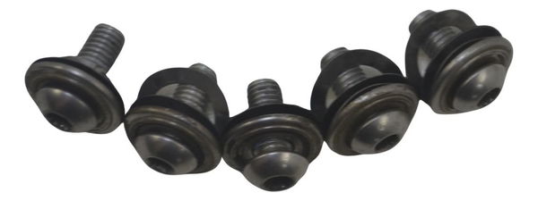 Jogo Parafuso Disco Freio Diant Bmw R 1200 Gs Adv 04-07 Orig