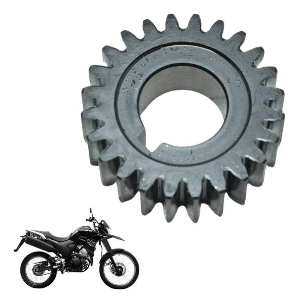 Engrenagem Motor Yamaha Xtz 250 Lander 19-23 Original