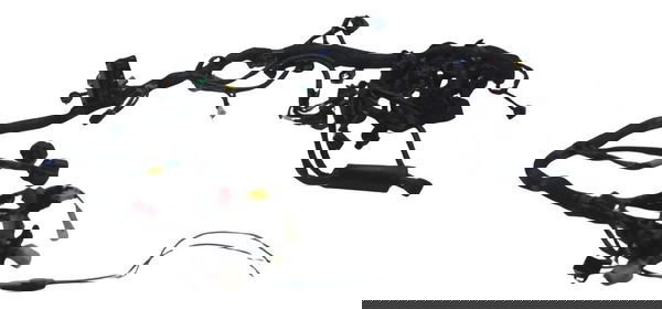 Chicote Principal Royal Continental 650 Gt 21-24 Origi