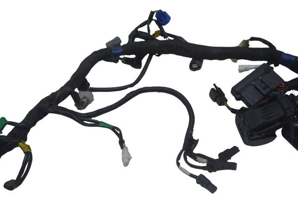 Chicote Principal Royal Continental 650 Gt 21-24 Origi