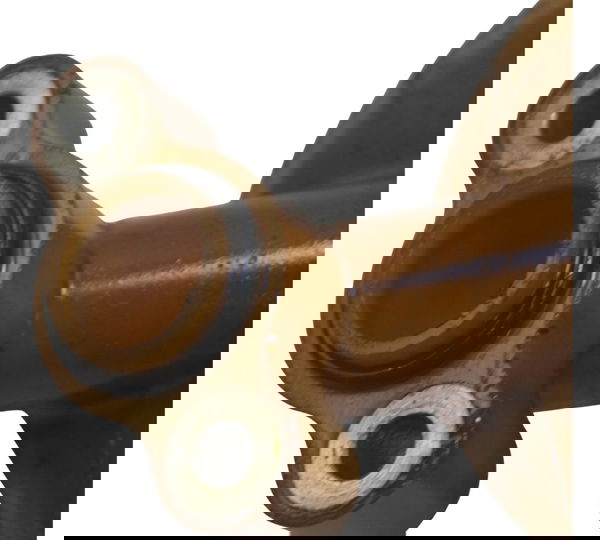 Pescador Óleo Royal Continental 650 Gt 21-24 Original