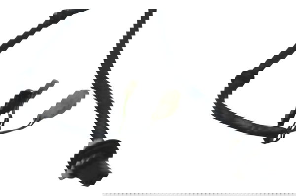 Chicote Lanterna Tras Royal Continental 650 Gt 21-24 Origina