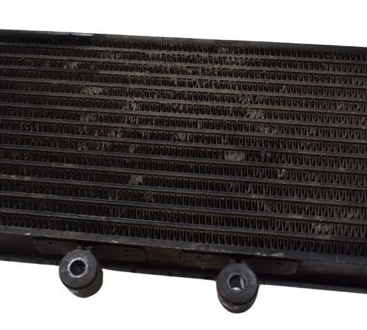 Radiador Suzuki Gsx 750f Monica 99-08 Original