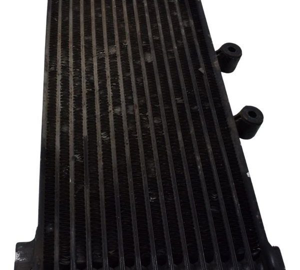 Radiador Suzuki Gsx 750f Monica 99-08 Original