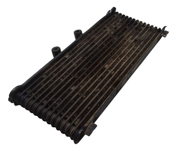 Radiador Suzuki Gsx 750f Monica 99-08 Original