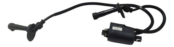 Bobina Ignição Suzuki Gsx 750f Monica 99-08 Original