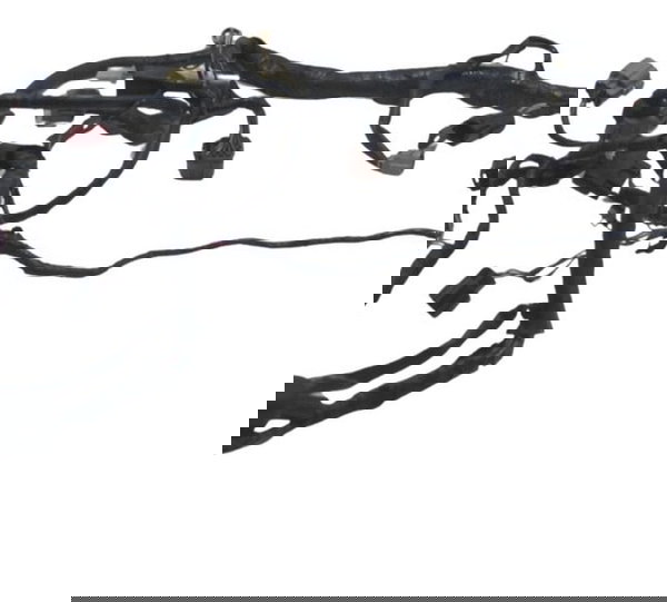 Chicote Principal C/ Avaria Kawasaki Zx 10r 05-06 Original