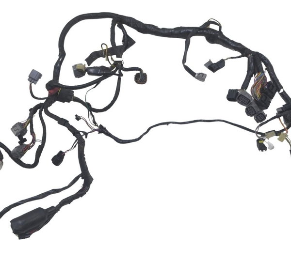 Chicote Principal C/ Avaria Kawasaki Zx 10r 05-06 Original