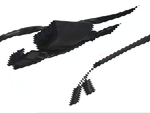 Chicote Principal C/ Avaria Kawasaki Zx 10r 05-06 Original