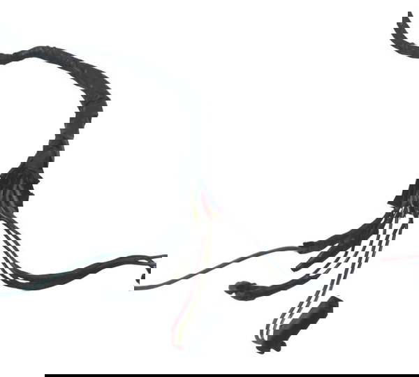 Chicote Principal C/ Avaria Kawasaki Zx 10r 05-06 Original