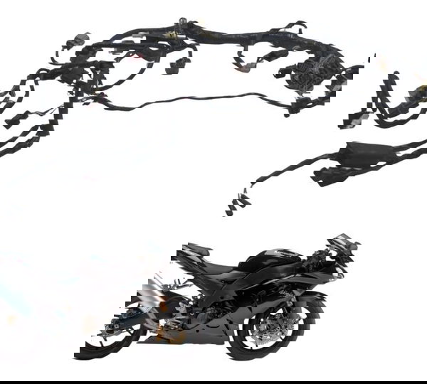 Chicote Principal C/ Avaria Kawasaki Zx 10r 05-06 Original