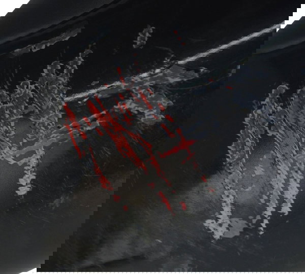 Paralama Dianteiro C/detalhes Kawasaki Zx 10r 05-06 Original