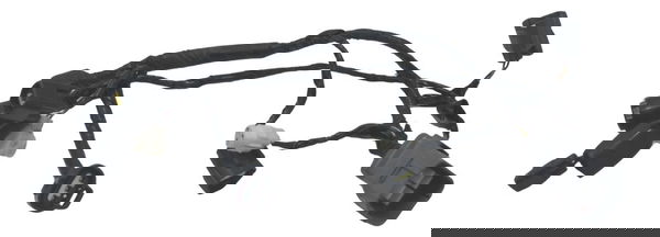 Chicote Injeção Kawasaki Zx 10r 05-06 Original