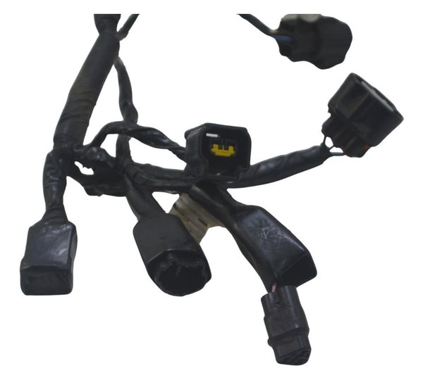 Chicote Injeção Kawasaki Zx 10r 05-06 Original