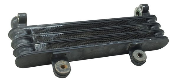 Radiador Honda Cb 250f Twister 16-22 Original