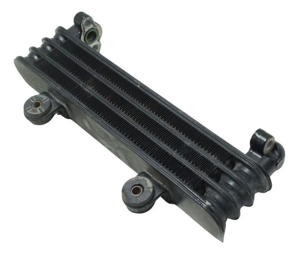 Radiador Honda Cb 250f Twister 16-22 Original