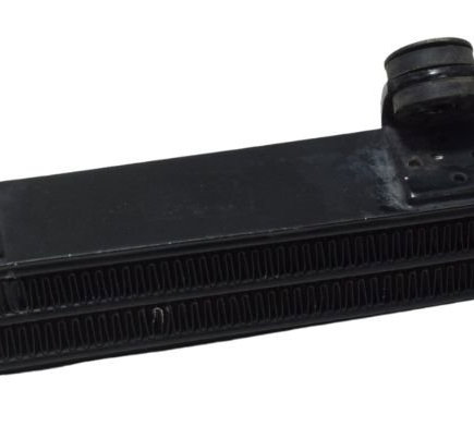 Radiador Yamaha Xtz 250 Tenere 11-15 Original