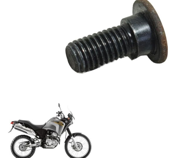 Parafuso Disco Freio Traseiro Yamaha Xtz 250 Tenere 11-15