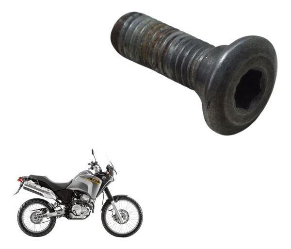Parafuso Disco Freio Traseiro Yamaha Xtz 250 Tenere 11-15