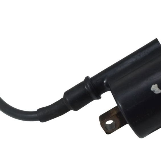 Bobina Ignição Honda Cb 250f Twister 16-22 Original