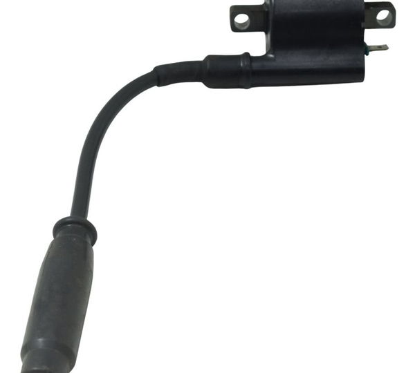 Bobina Ignição Honda Cb 250f Twister 16-22 Original