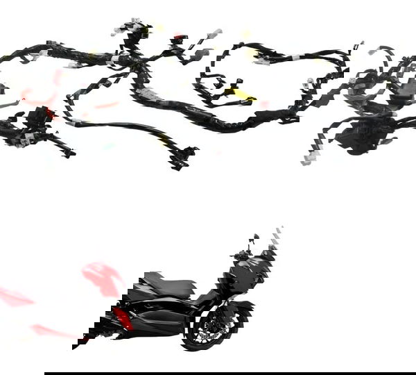 Chicote Principal Yamaha X Max 250 20-24 Original