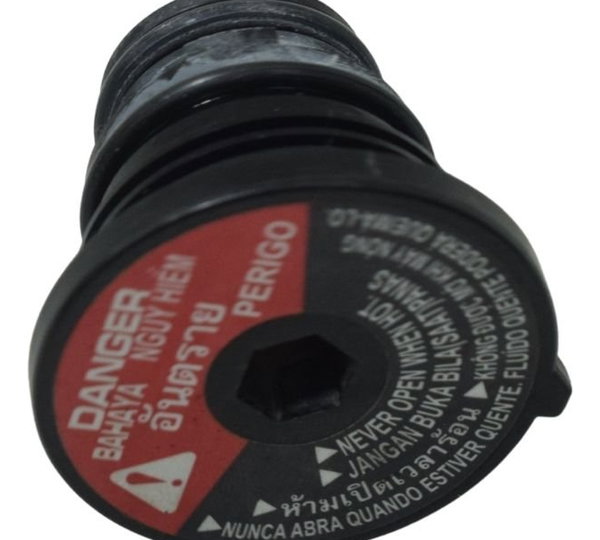 Tampa Radiador Yamaha X Max 250 20-24 Original