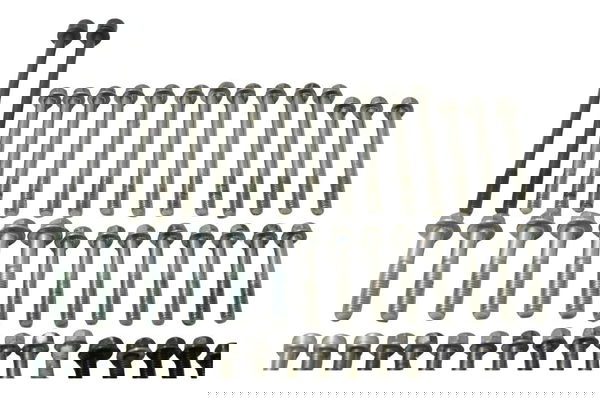 Kit Parafuso Motor Yamaha X Max 250 20-24 Original