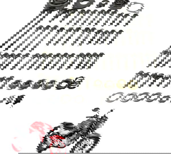 Kit Parafuso Diversos Motor Honda Cb 250f Twister 16-22 Orig