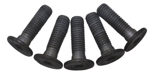 Jogo Parafuso Disco Freio Diant Bmw F 850 Gs Adv 19-24 Orig