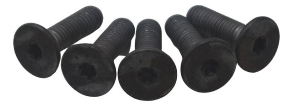 Jogo Parafuso Disco Freio Diant Bmw F 850 Gs Adv 19-24 Orig