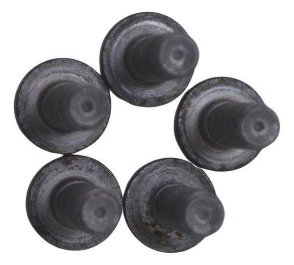 Jogo Parafuso Disco Freio Diant Bmw F 850 Gs Adv 19-24 Orig