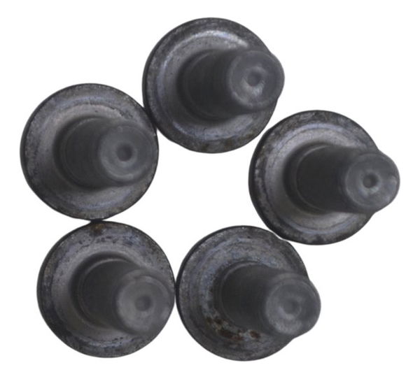 Jogo Parafuso Disco Freio Diant Bmw F 850 Gs Adv 19-24 Orig