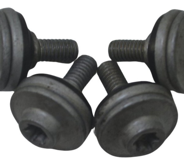 Jogo Parafuso Tampa Cabeçote Bmw F 850 Gs Adv 19-24 Original