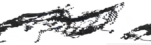 Chicote Principal Bmw F 850 Gs Adv 19-24 Original