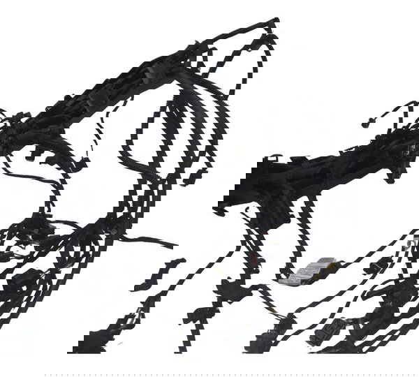 Chicote Principal Bmw F 850 Gs Adv 19-24 Original