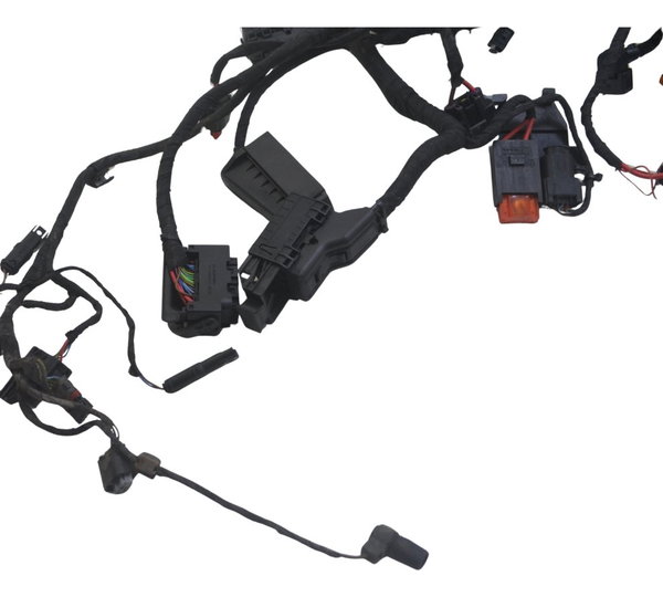 Chicote Principal Bmw F 850 Gs Adv 19-24 Original