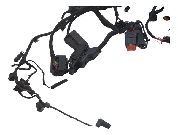 Chicote Principal Bmw F 850 Gs Adv 19-24 Original