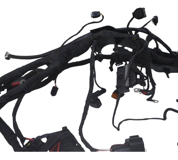 Chicote Principal Bmw F 850 Gs Adv 19-24 Original