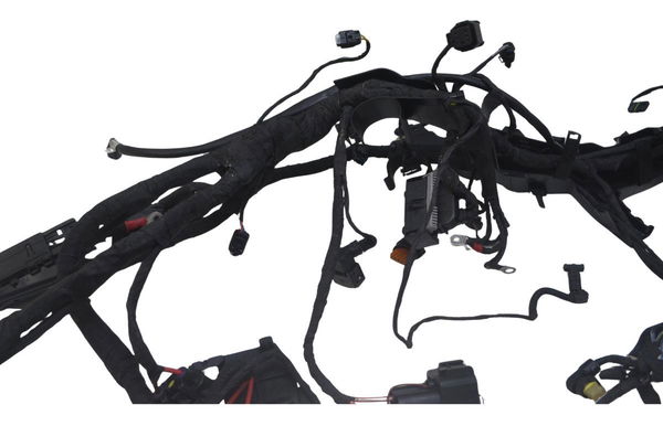 Chicote Principal Bmw F 850 Gs Adv 19-24 Original