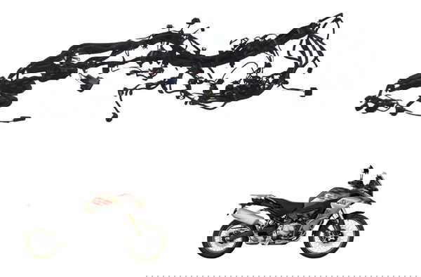 Chicote Principal Bmw F 850 Gs Adv 19-24 Original