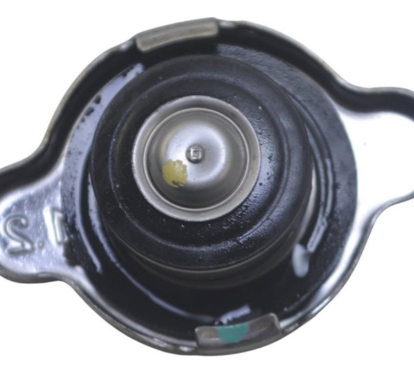 Tampa Radiador Bmw F 850 Gs Adv 19-24 Original