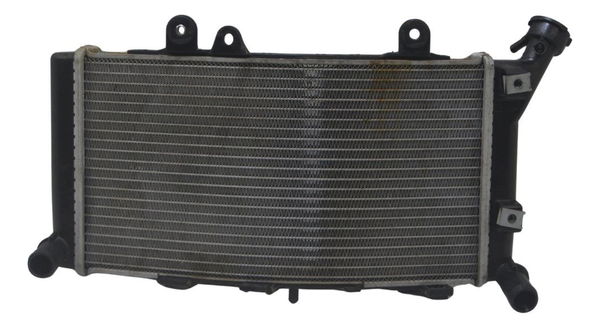 Radiador Bmw F 850 Gs Adv 19-24 Original