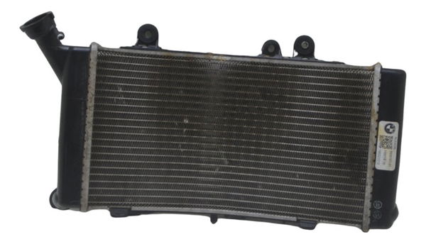 Radiador Bmw F 850 Gs Adv 19-24 Original