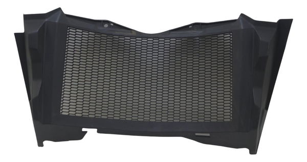 Grade Acabamento Radiador Bmw F 850 Gs Adv 19-24 Original