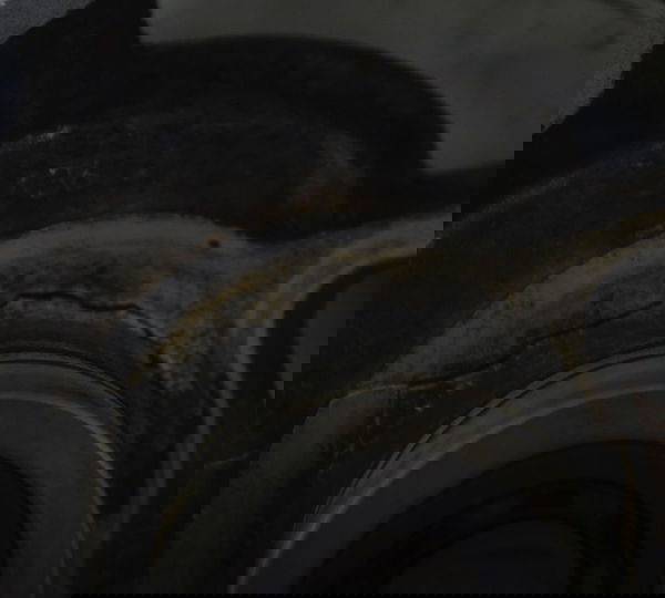 Bomba Água C/ Avaria Harley V-rod 1250 06-16 Original