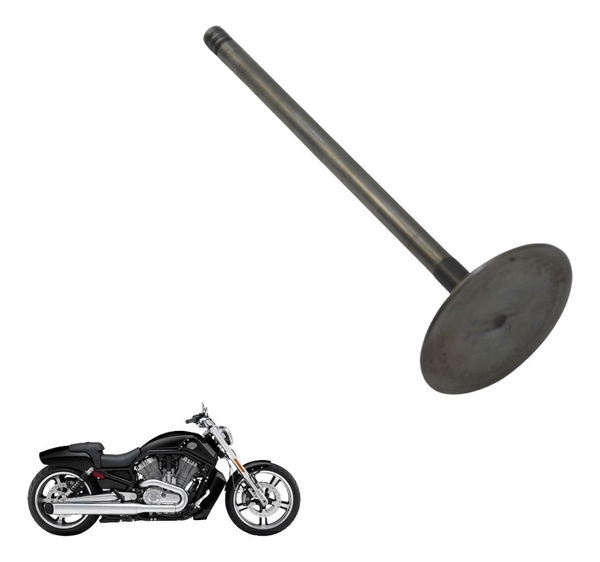 Válvula Admissão Harley V-rod 1250 06-16 Original