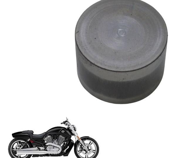 Tucho Válvula Harley V-rod 1250 06-16 Original