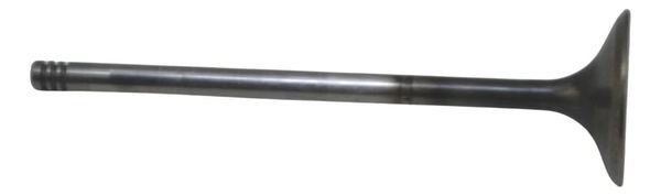 Válvula Escape Harley V-rod 1250 06-16 Original