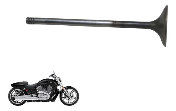 Válvula Escape Harley V-rod 1250 06-16 Original